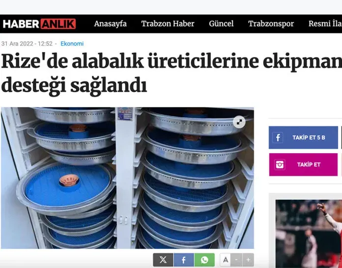 fet alabalik basında
