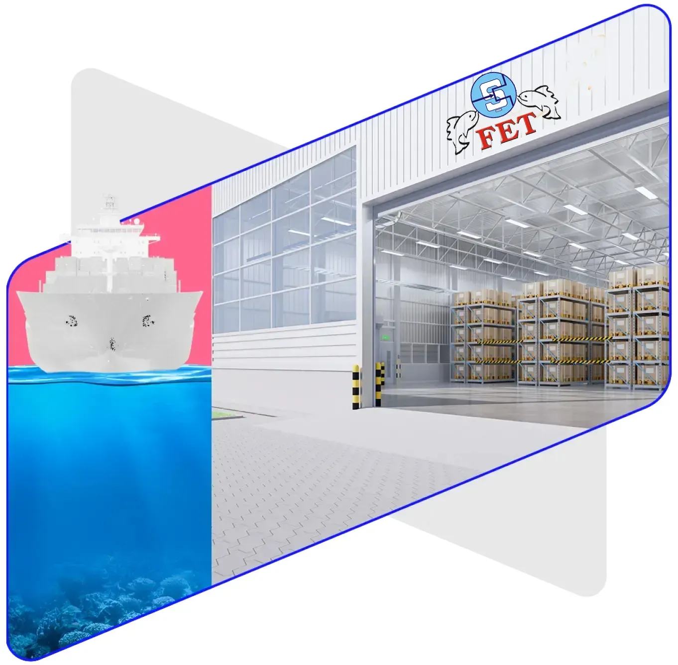 fet-hakkimizda-alabalik