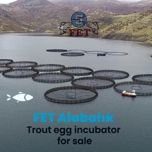 trout-egg incubator for sale-fet